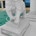营口 白麻花岗岩动物异形石雕-大象