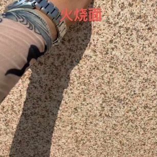 营口黄金麻火烧面