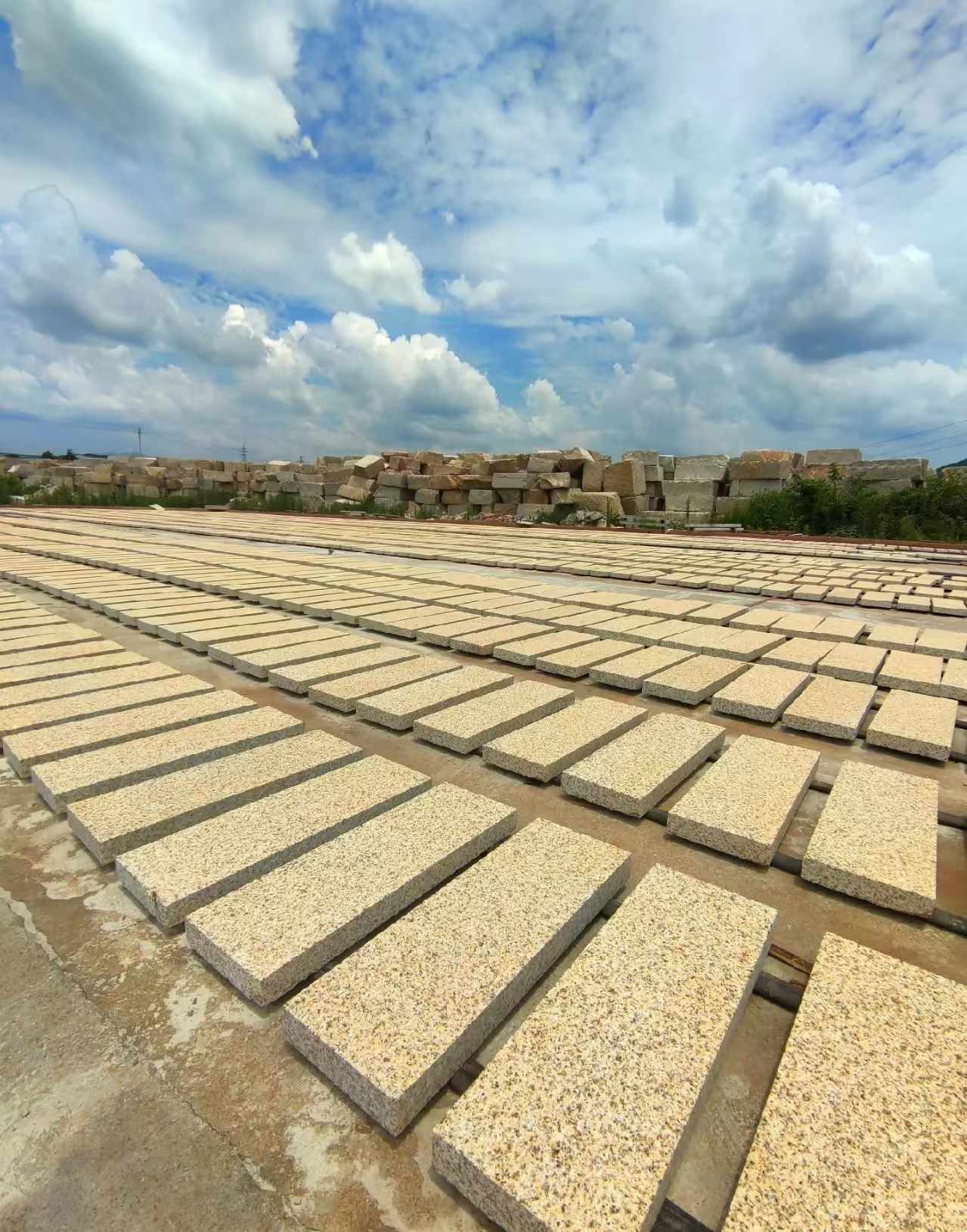 营口 黄金麻荔枝面花岗岩石材地铺石防护中